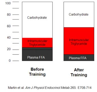 comparison before training, after training